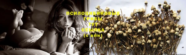 ешки Белокуриха