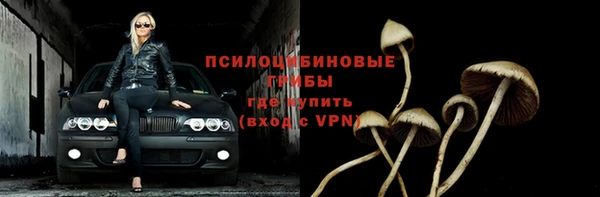 спайс Беломорск