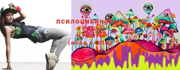 ешки Белокуриха