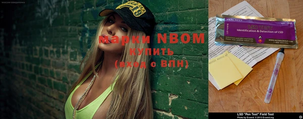 ешки Белокуриха